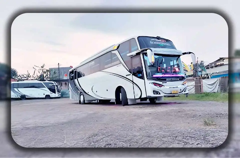Peran Livery untuk Kesan Mewah Bus Pariwisata dari Tangerang