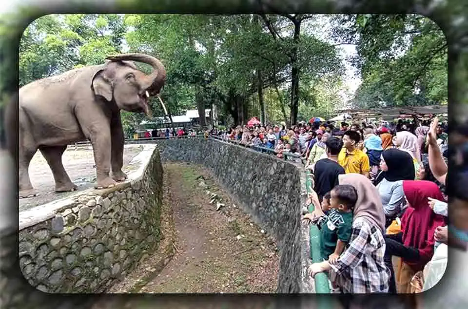 Ragunan atau Ancol