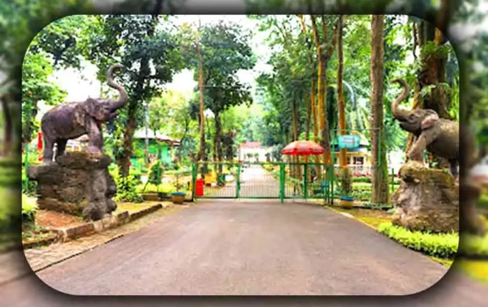 Sejarah Kebun Binatang Ragunan Jakarta