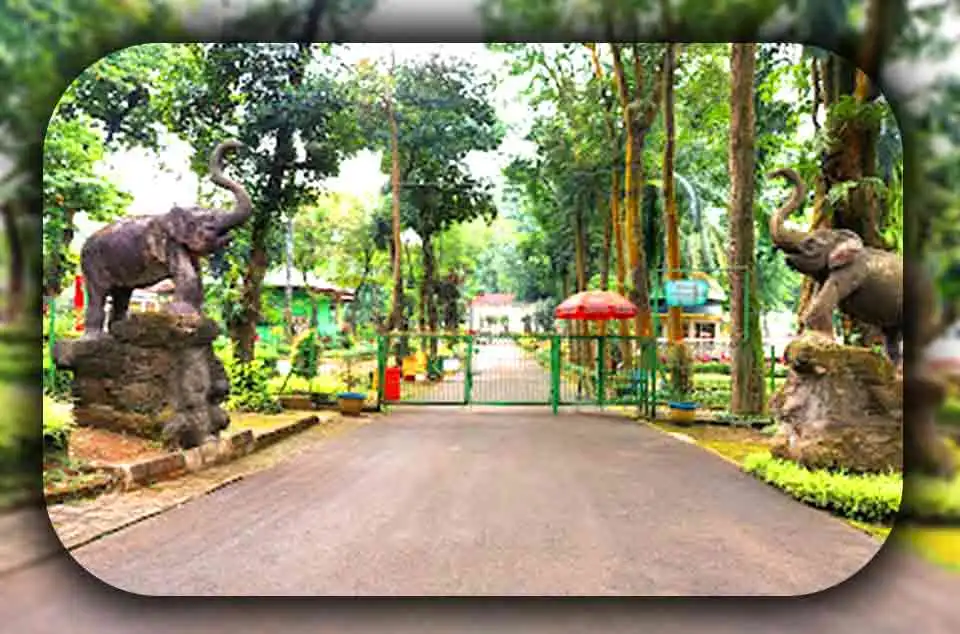 Sejarah Kebun Binatang Ragunan Jakarta