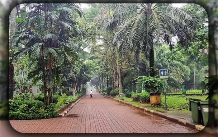 Tips Menghindari Keramaian Tamasya di Ragunan
