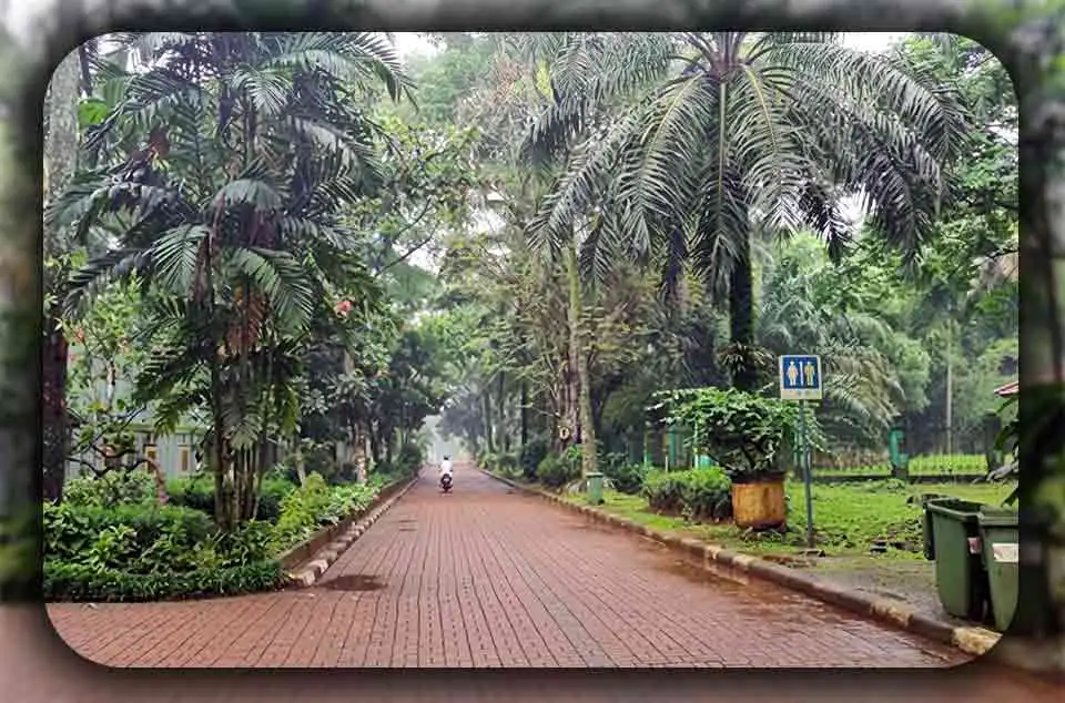 Tips Menghindari Keramaian Tamasya di Ragunan