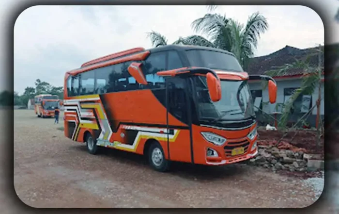 Ukuran Medium Bus yang Ideal untuk Destinasi Wisata Terpencil di Bogor