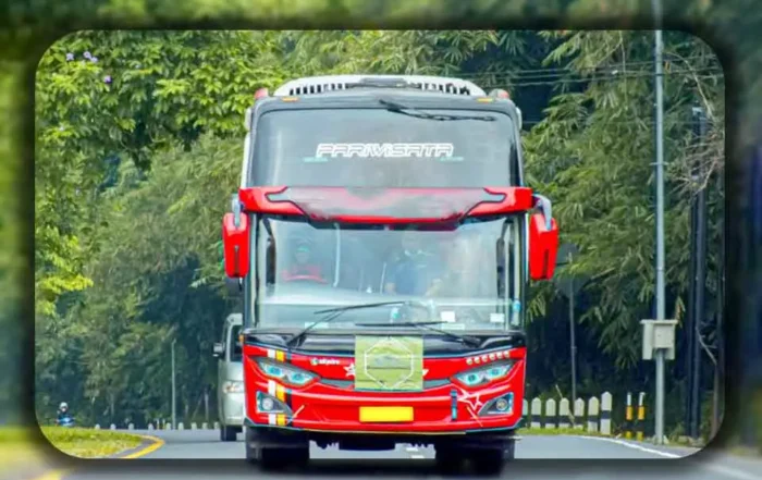 Warna Livery Bus Pariwisata yang Paling Diminati Penyewa di Bekasi