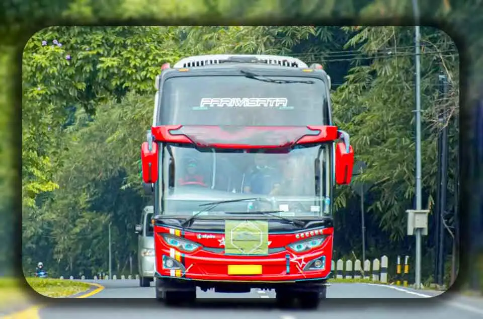 Warna Livery Bus Pariwisata yang Paling Diminati Penyewa di Bekasi