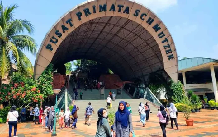 biaya masuk Pusat Primata Schmutzer