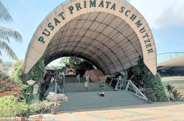 biaya masuk Pusat Primata Schmutzer terbaru