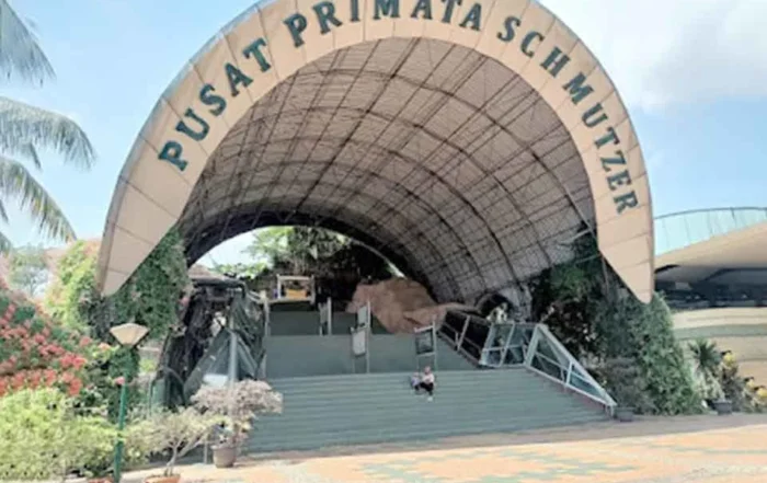 biaya masuk Pusat Primata Schmutzer terbaru