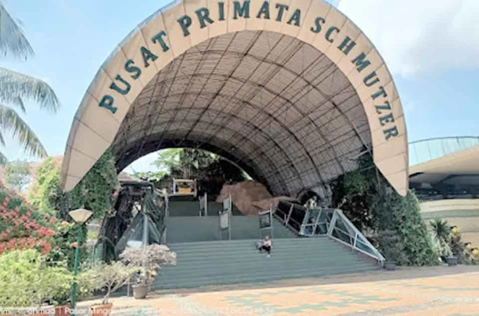 biaya masuk Pusat Primata Schmutzer terbaru