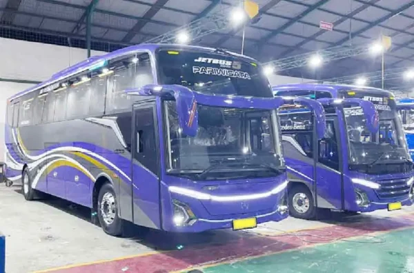 biaya sewa bus pariwisata SHD dan HDD Depok