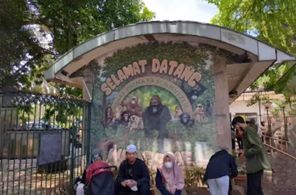 cara beli tiket Ragunan online