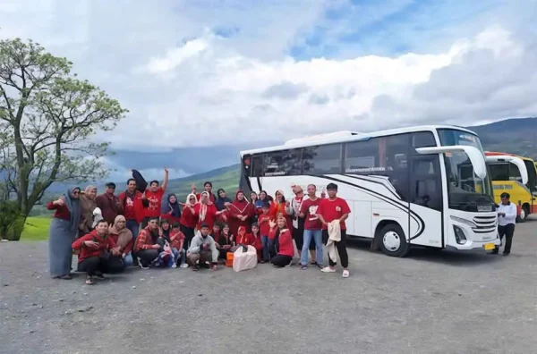desain livery bus pariwisata paling elegan