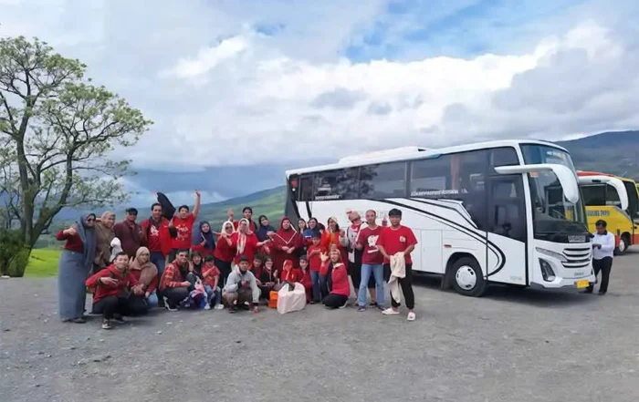 desain livery bus pariwisata paling elegan
