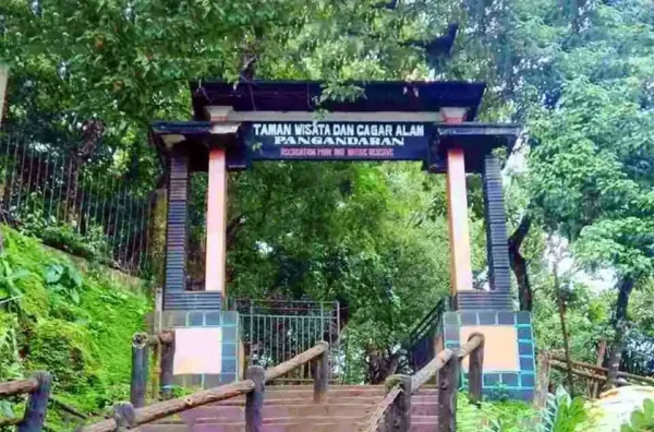 harga tiket masuk Cagar Alam Pangandaran