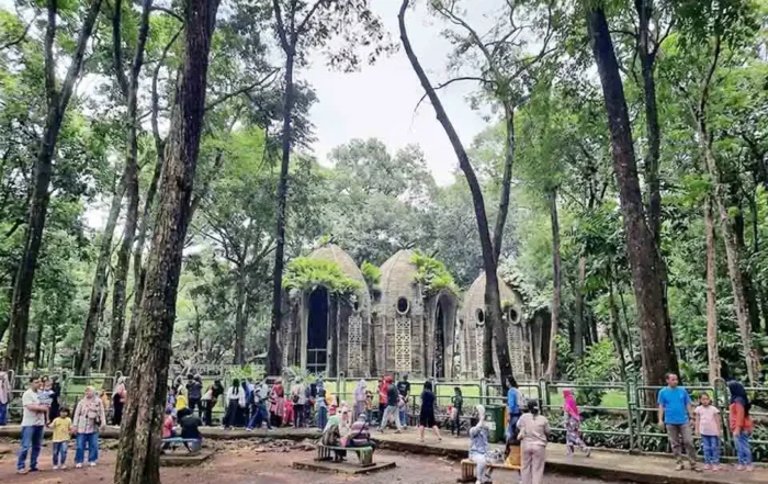 harga tiket rombongan sekolah Ragunan terbaru
