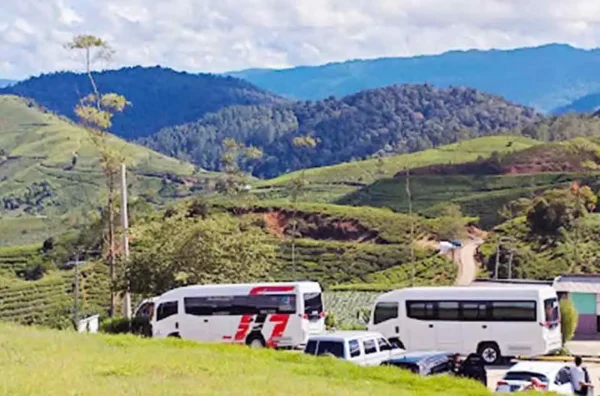 keunggulan mesin Isuzu Elf di medan pegunungan