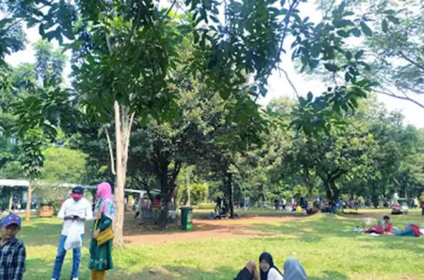 luas kebun binatang Ragunan saat ini