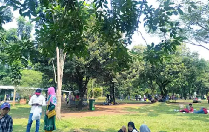 luas kebun binatang Ragunan saat ini