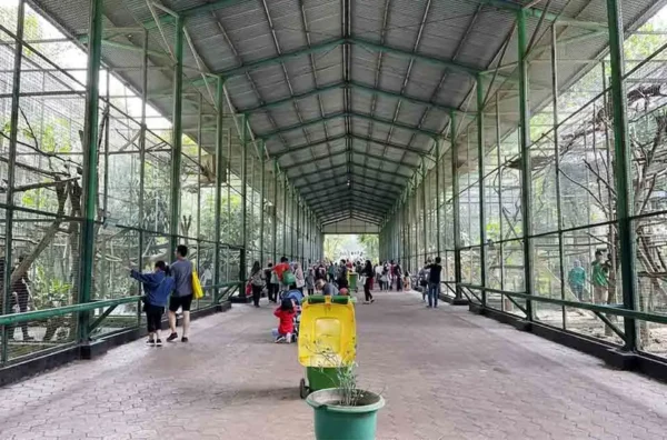 manfaat kunjungan ke kebun binatang untuk siswa