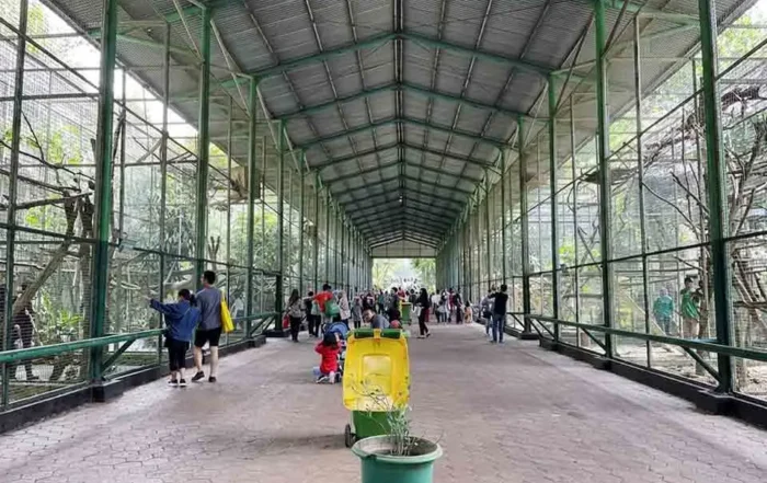 manfaat kunjungan ke kebun binatang untuk siswa