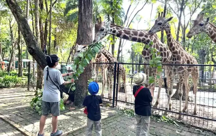 manfaat wisata edukasi satwa bagi siswa sekolah