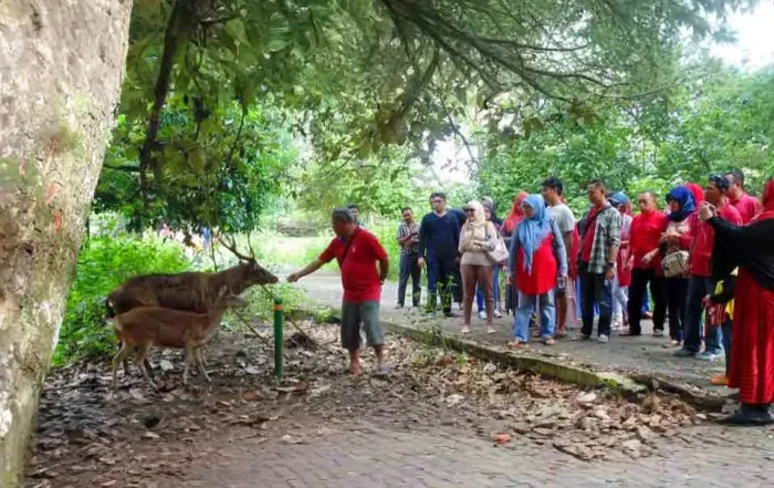 pemandu wisata Cagar Alam Pangandaran
