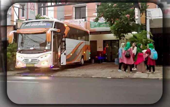 perbandingan bus medium dan big bus untuk wisata alam di Bogor