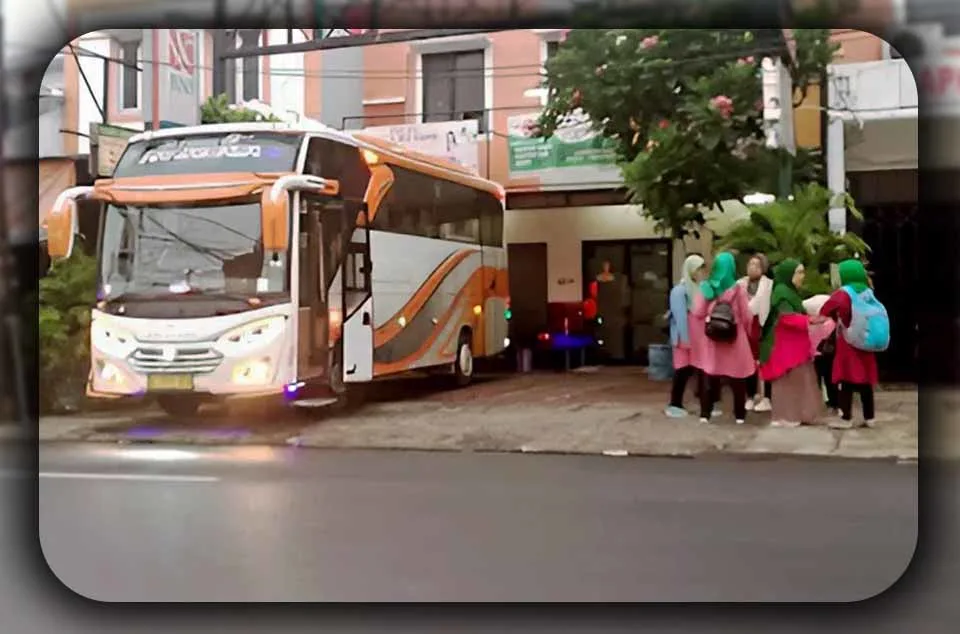 perbandingan bus medium dan big bus untuk wisata alam di Bogor