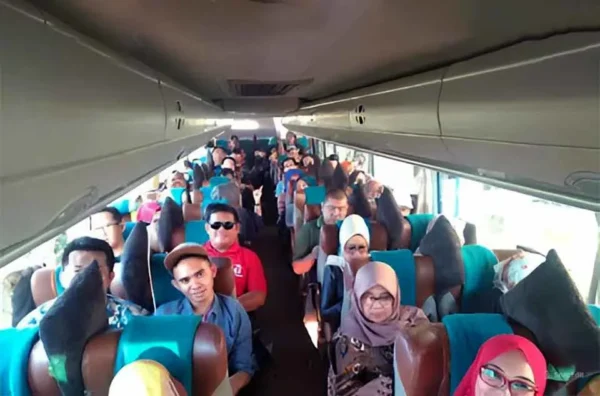 perbedaan bus konfigurasi 2-2 dan 2-3