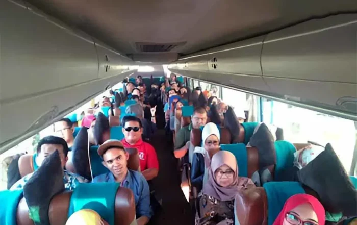 perbedaan bus konfigurasi 2-2 dan 2-3