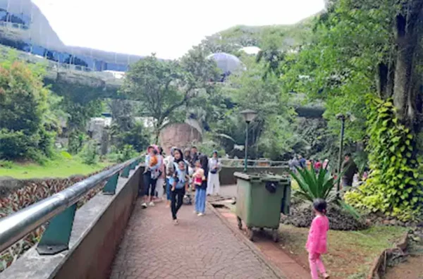 perbedaan konsep Ragunan dan Taman Safari Bogor