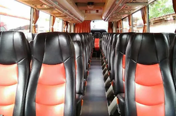rekomendasi PO bus pariwisata dengan kabin nyaman