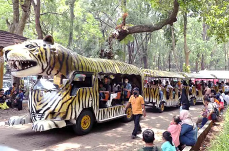 rute mobil wara-wiri Ragunan
