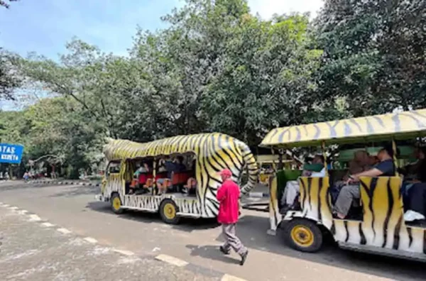 tips berwisata ke Ragunan agar tidak lelah