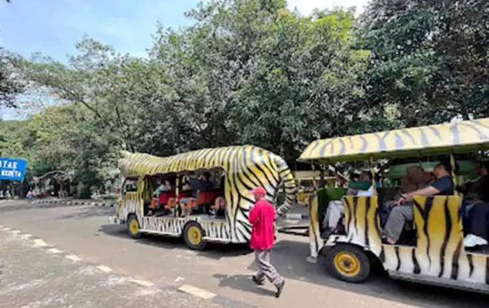 tips berwisata ke Ragunan agar tidak lelah