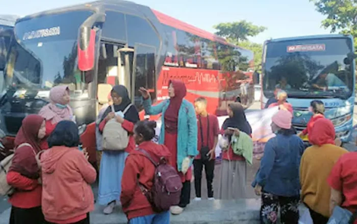 tips efisiensi jumlah penumpang bus pariwisata