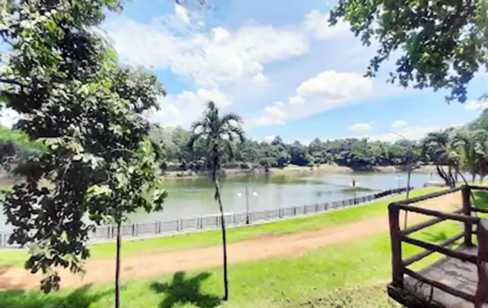 waktu terbaik berkunjung ke Ragunan agar tidak ramai