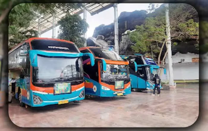 Hal yang Dicari Orang Saat Survei Bus Pariwisata