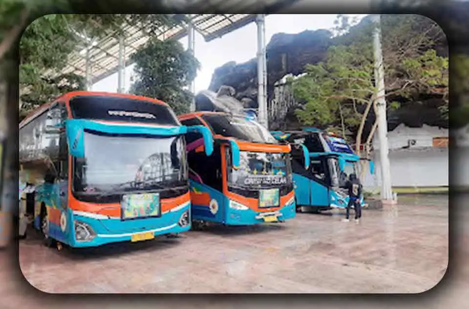 Hal yang Dicari Orang Saat Survei Bus Pariwisata