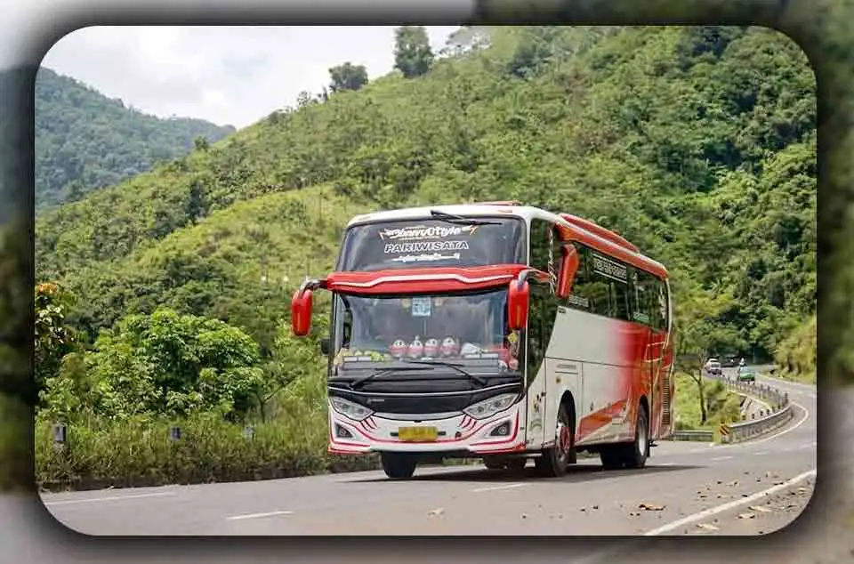 Memahami Perbedaan dan Batasan Izin Operasi Bus Pariwisata