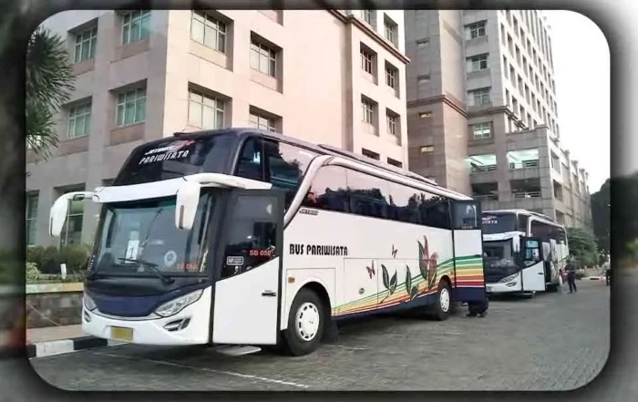 Panduan Negosiasi Harga Sewa Bus Pariwisata