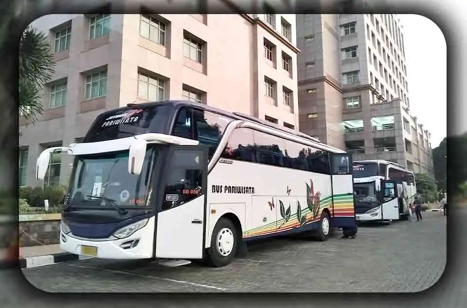 Panduan Negosiasi Harga Sewa Bus Pariwisata