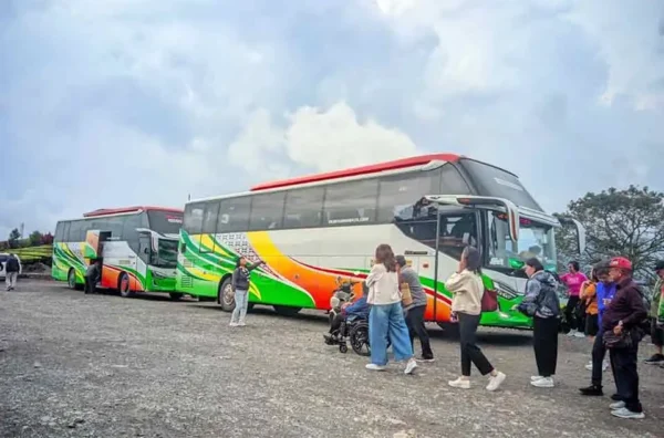 faktor penyebab sewa bus pariwisata melonjak