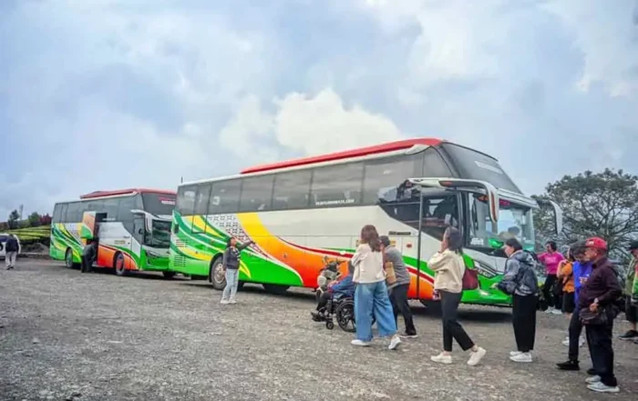 faktor penyebab sewa bus pariwisata melonjak