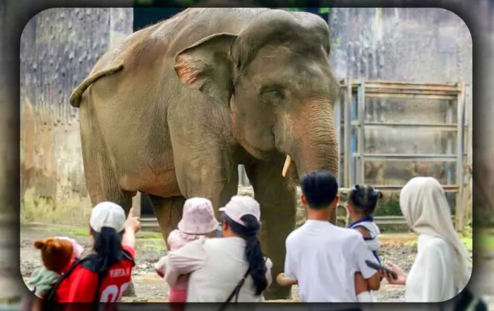 Apa Saja yang Bisa Dilakukan di Ragunan