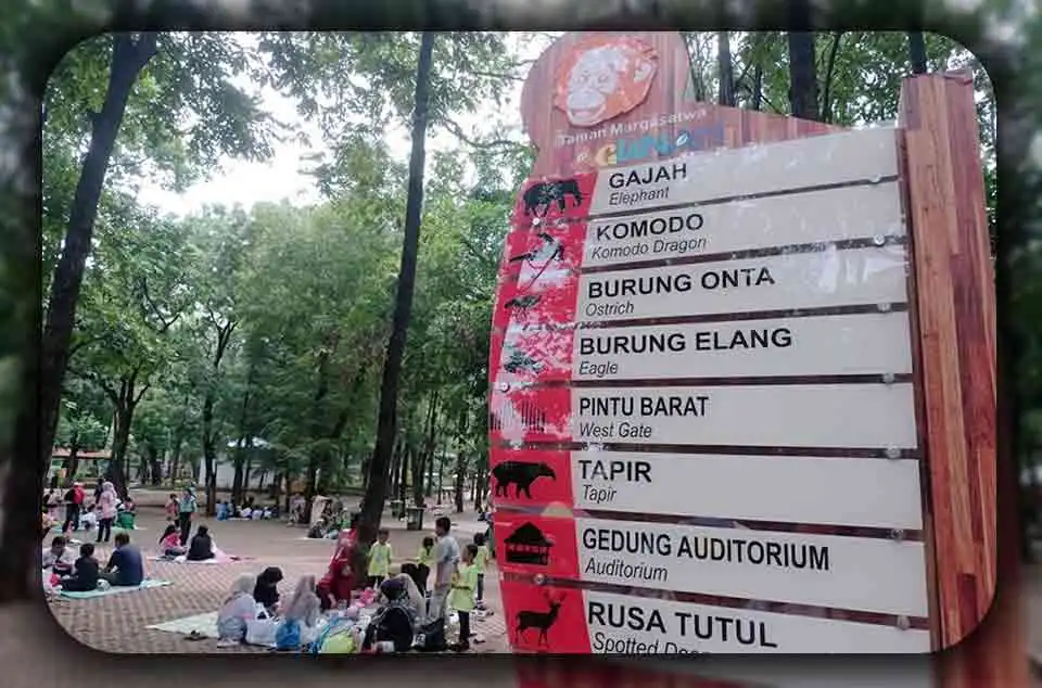 Mengenal Satwa Langka di Ragunan