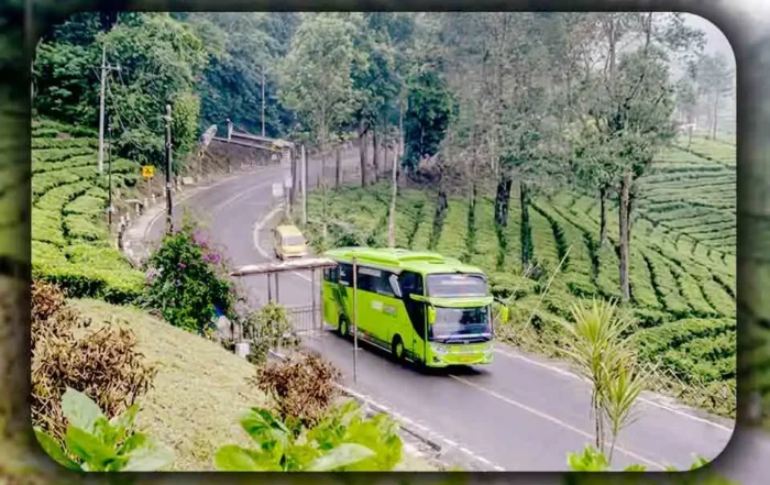 Menghitung Tambahan Biaya Sewa Bus Pariwisata untuk Rute Tanjakan di Bogor