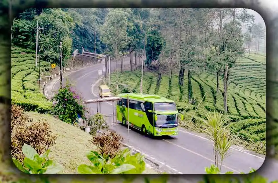 Menghitung Tambahan Biaya Sewa Bus Pariwisata untuk Rute Tanjakan di Bogor