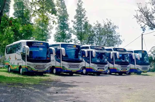 harga sewa bus medium ke Puncak Bogor terbaru