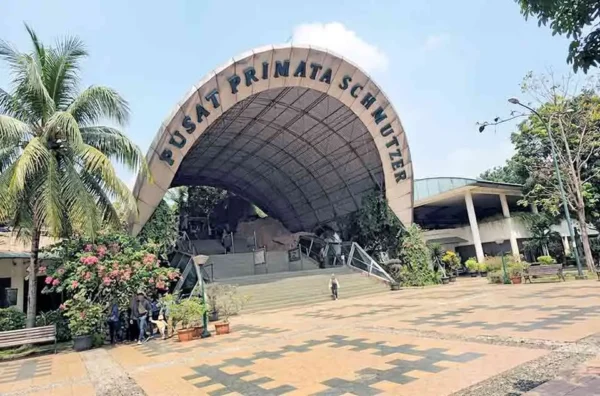 ragam primata langka di Pusat Primata Schmutzer